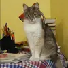 Отзыв от Дарья Сомова